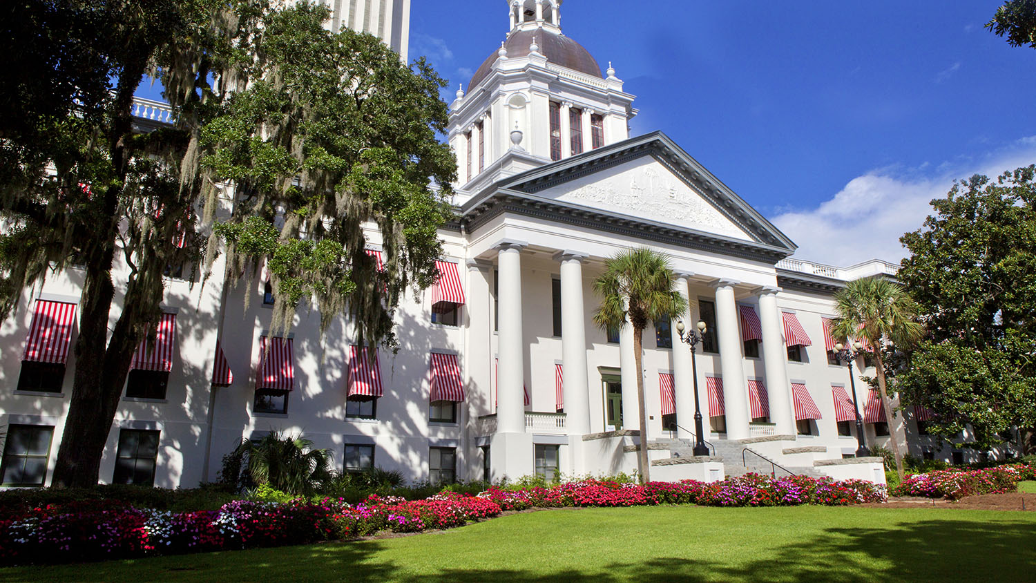 NRAPVF Grades Florida