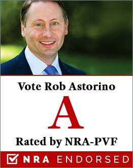 Vote Rob Astorino