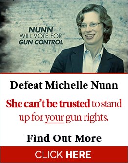 GA-Nunn-Sidebar.jpg
