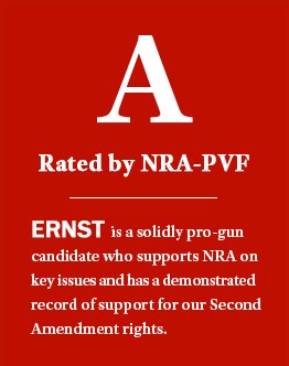 IA-A-Ernst.jpg