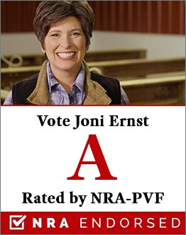 IA-Ernst-Sidebar.jpg