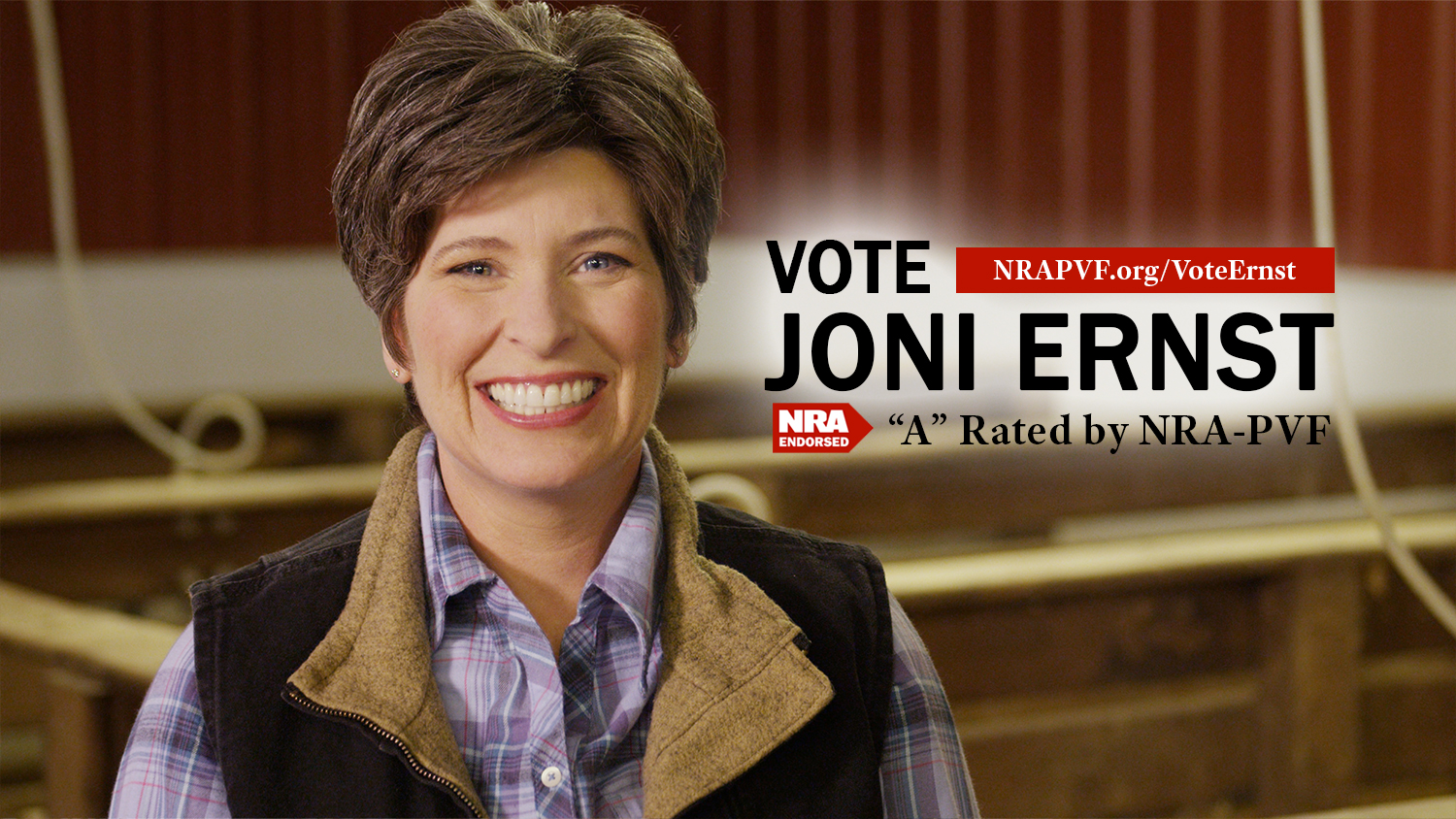 vote-ernst.jpg