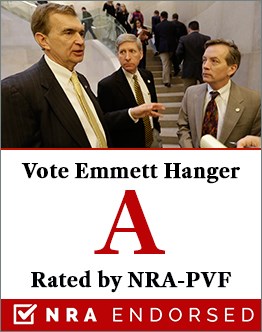 Vote-Hanger-Sidebar.jpg