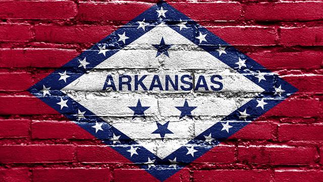 Please vote Steve Womack for U.S. House of Representatives on or before Tuesday, May 22!