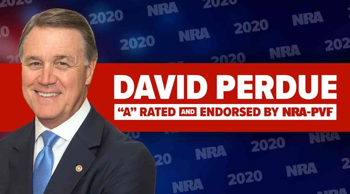 Vote Freedom First. Vote David Perdue for U.S. Senate!