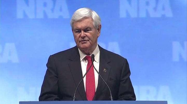 Former House Speaker Newt Gingrich