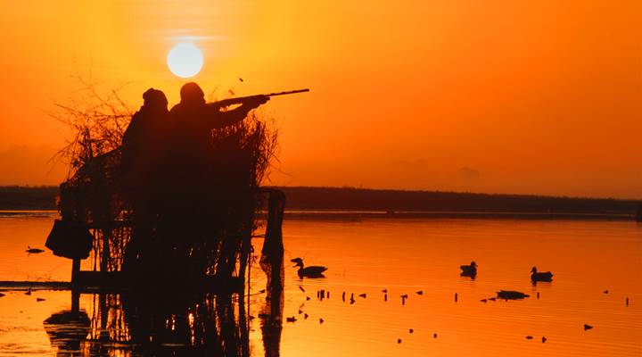 NRA Endorses Pro-Gun and Pro-Hunting Statewide Ballot Amendments in Alabama