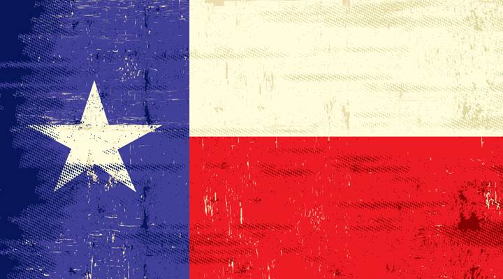 NRA Endorses Texas Lt. Governor Dan Patrick