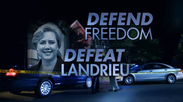 Defend Freedom, Defeat Mary Landrieu