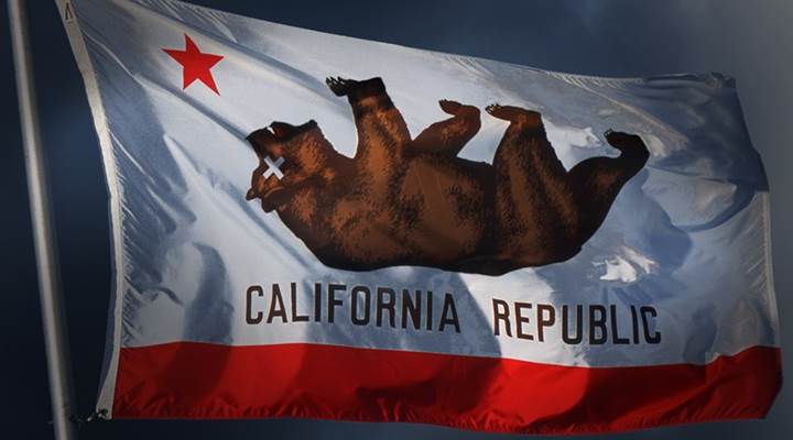 How Gavin Newsom’s Initiative Will Flatten California Gun Owners