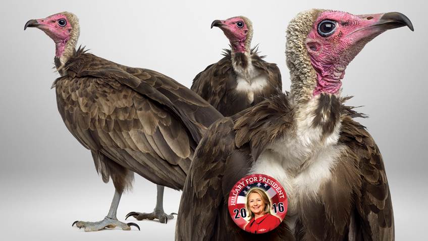 Heller's Vultures