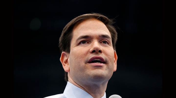 NRA Endorses Marco Rubio for U.S. Senate