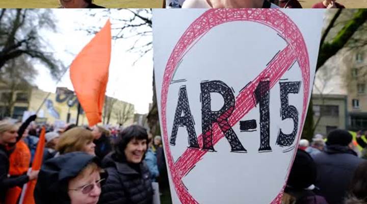 The March for our Lives exposed the goal of ‘commonsense gun reform,’ a full repeal of the Second Amendment and a ban on all guns