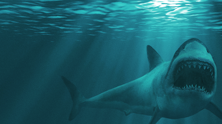 NRA-PVF | Sneak Attack on Washington State